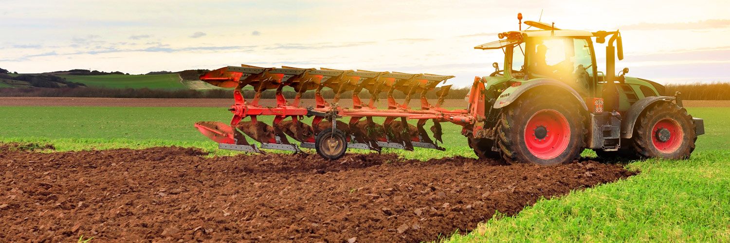 Pièces d'usure haute qualité en carbure